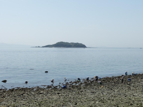 画像24